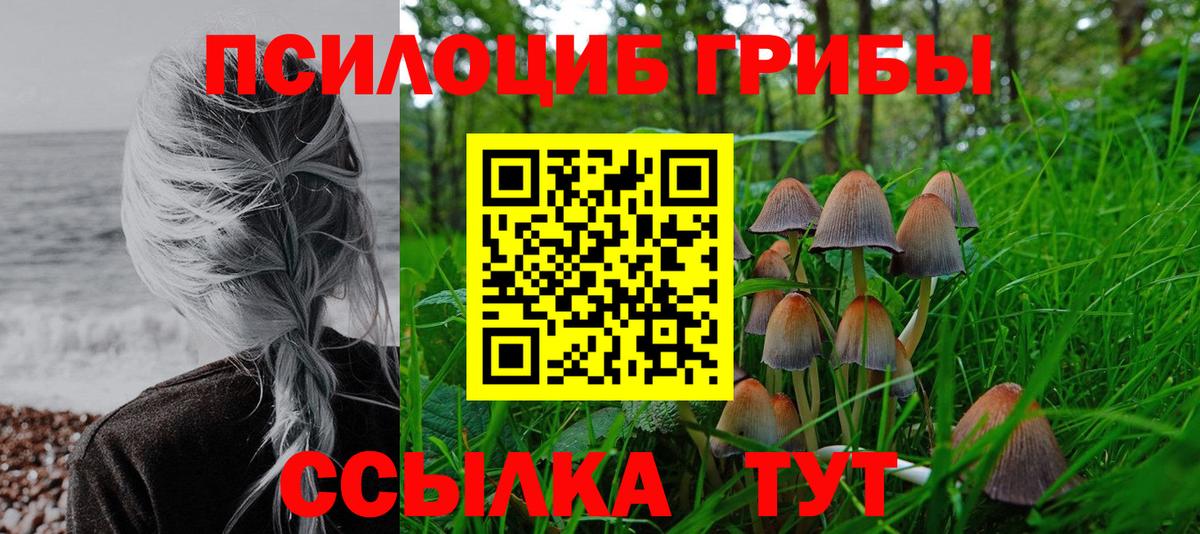 Псилоцибиновые грибы Magic Shrooms  Вход с VPN  Ишимбай 